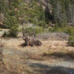 WhatsApp Image 2022 04 14 at 3.05.51 PM