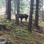 WhatsApp Image 2022 04 14 at 3.05.51 PM 2