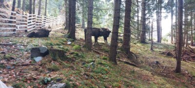 WhatsApp Image 2022 04 14 at 3.05.51 PM 2