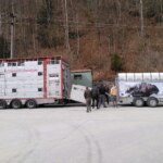 WhatsApp Image 2022 04 14 at 3.05.51 PM 4