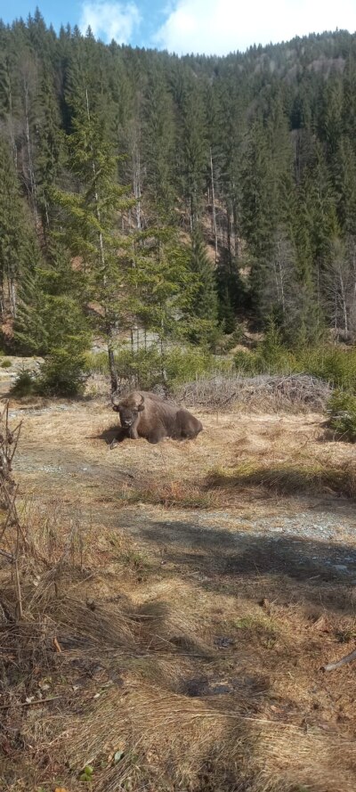 WhatsApp Image 2022 04 14 at 3.05.51 PM