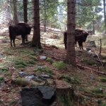 WhatsApp Image 2022 04 14 at 3.05.51 PM 5