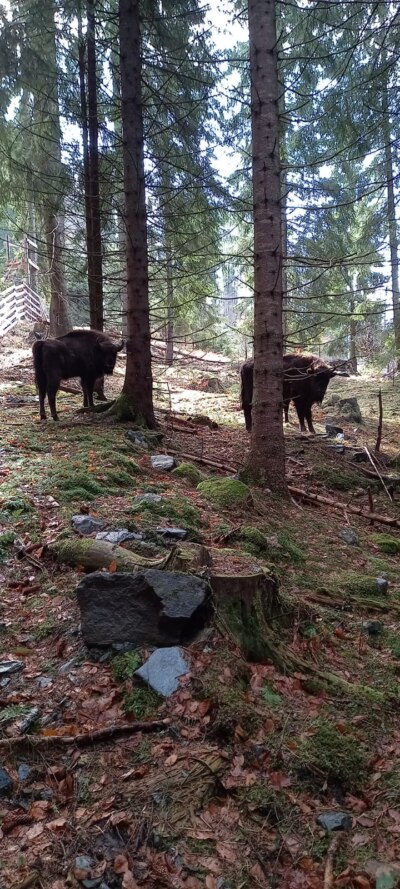 WhatsApp Image 2022 04 14 at 3.05.51 PM 5