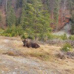 WhatsApp Image 2022 04 14 at 3.05.52 PM 1