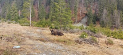 WhatsApp Image 2022 04 14 at 3.05.52 PM 1