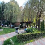 WhatsApp Image 2022 08 31 at 15.05.20 1