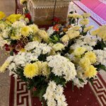 WhatsApp Image 2022 09 15 at 13.32.15 1