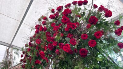 WhatsApp Image 2024 04 19 at 16.21.11 b9372032