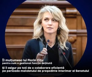 alina gorghiu senat 300x251 1