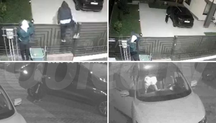 INCREDIBIL! JAF ca în codru într-o gospodărie din Argeș! Detalii șocante!