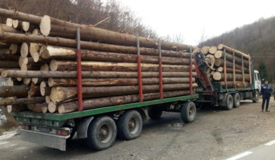 I-AU luat CAMIONUL pe LOC! Greșeala INCREDIBILĂ care l-a LĂSAT pe un BĂRBAT fără MARFĂ și cu DOSAR penal după un CONTROL în TRAFIC
