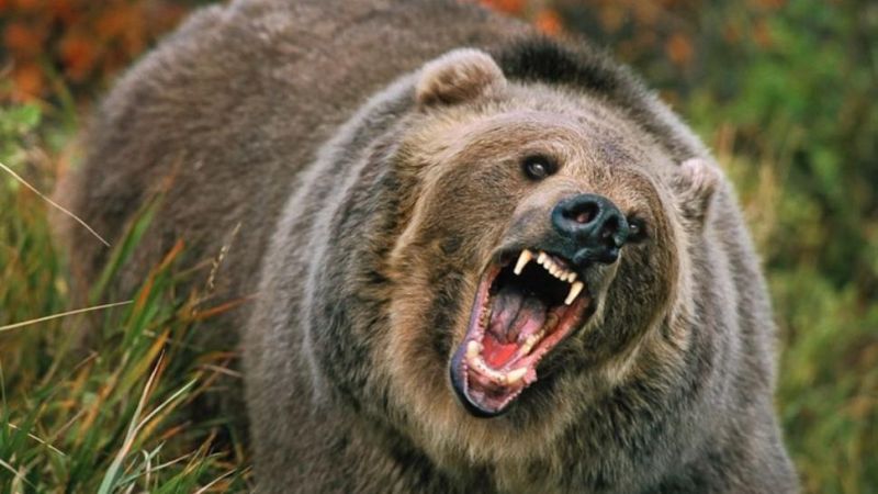 Tragedie de nedescris! Un bărbat a sfârșit într-un mod teribil: Detaliile sunt absolut șocante!