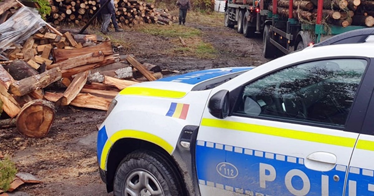 Au rămas și fără lemne, și cu buzunarele goale! Lovitura primită de doi bărbați din Argeș după ce au fost opriți de poliție în trafic