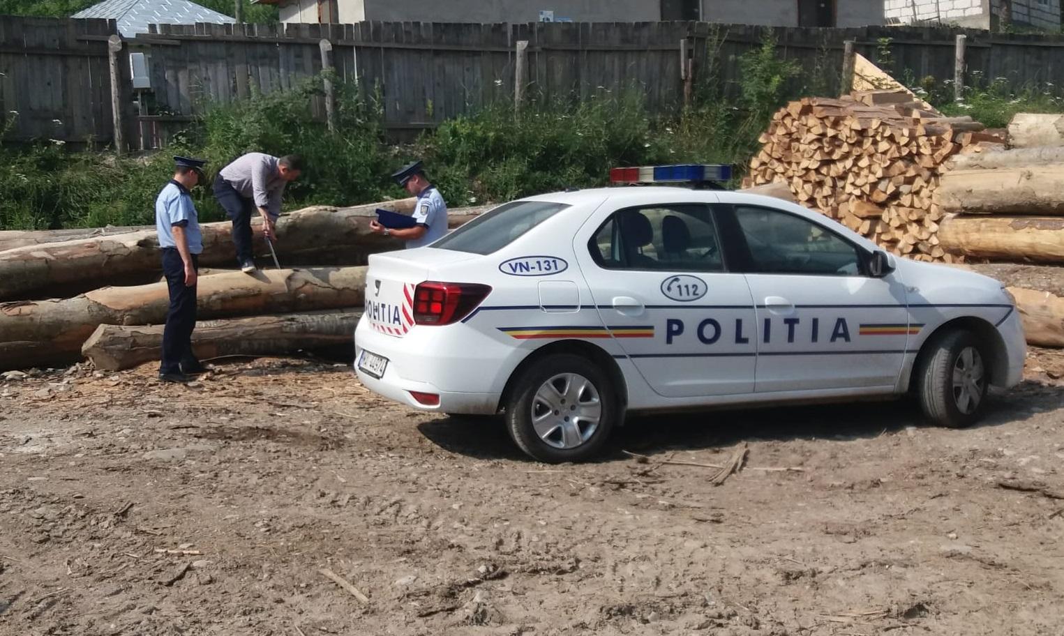 ARGEȘ. Lemne fără acte, AMENZI și CONFISCĂRI! Polițiștii au descoperit NEREGULI GRAVE în trafic și la aceste firme!
