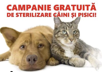 CAMPANIE de sterilizare GRATUITĂ pentru CÂINI și PISICI în comuna Coșești