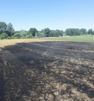 Pompierii luptă cu incendiile! Vegetație uscată și miriște în flăcări pe mii de metri pătrați! 2 Vedea1