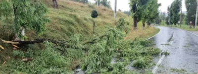 inundatii