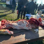 WhatsApp Image 2024 12 12 at 12.25.24 bb14d4f8