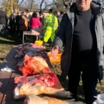 WhatsApp Image 2024 12 12 at 12.25.34 99304b06