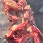 WhatsApp Image 2024 12 12 at 12.26.32 38bae164