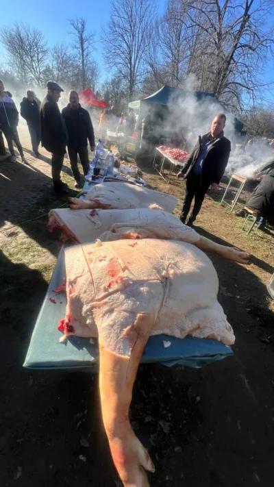 WhatsApp Image 2024 12 12 at 12.26.39 158611aa