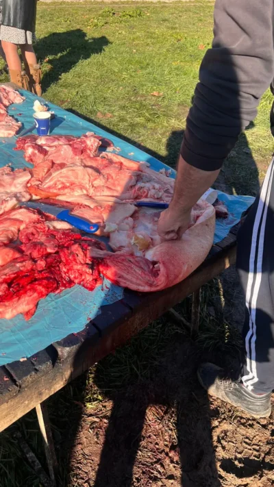 WhatsApp Image 2024 12 12 at 12.26.54 221795fb