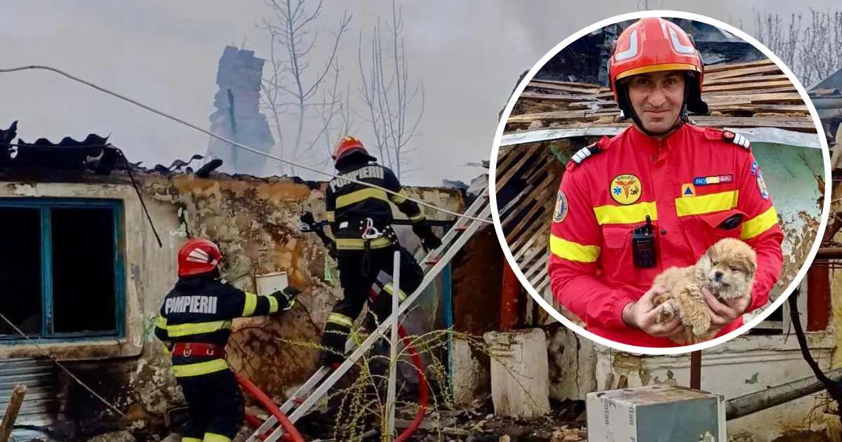 catel salvat incendiu
