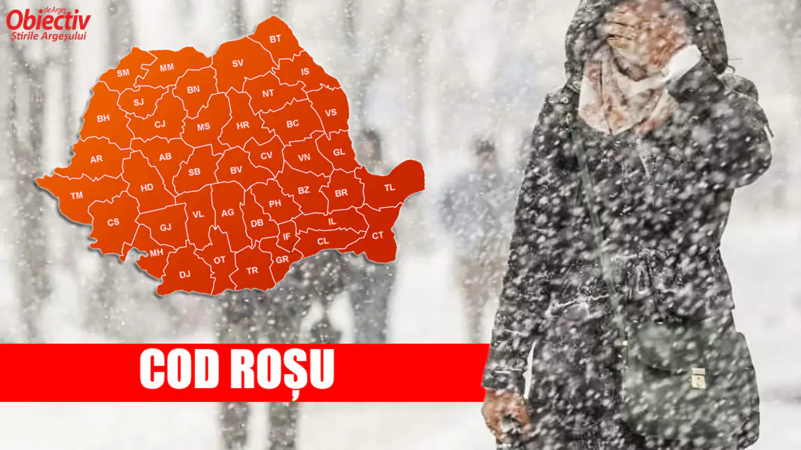 cod rosu ninsoare