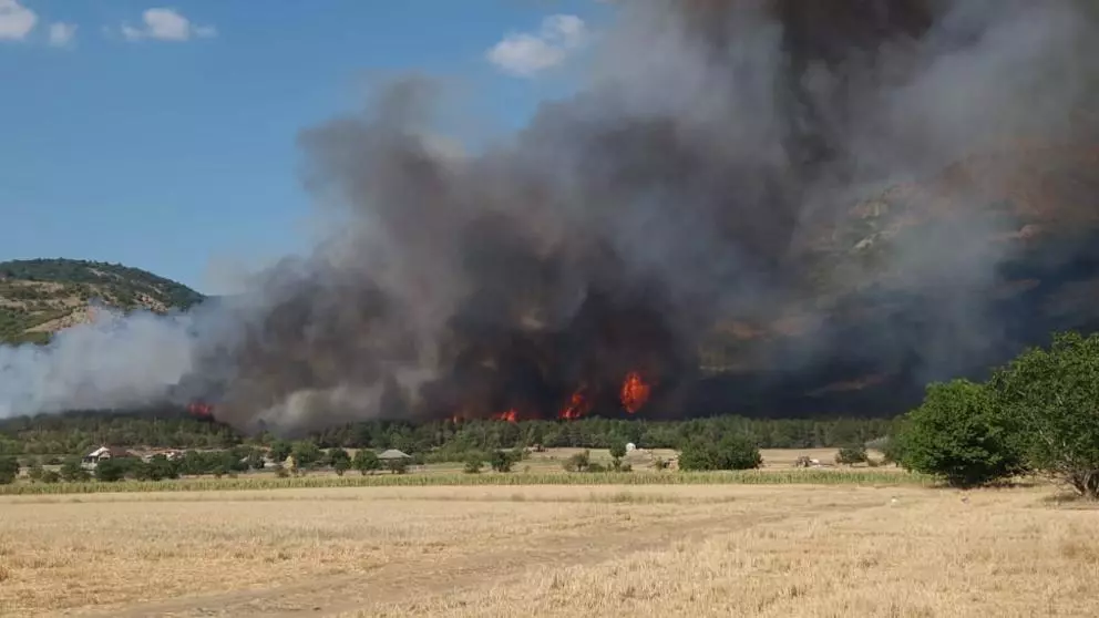 incendiu tulcea poza 574028ef21
