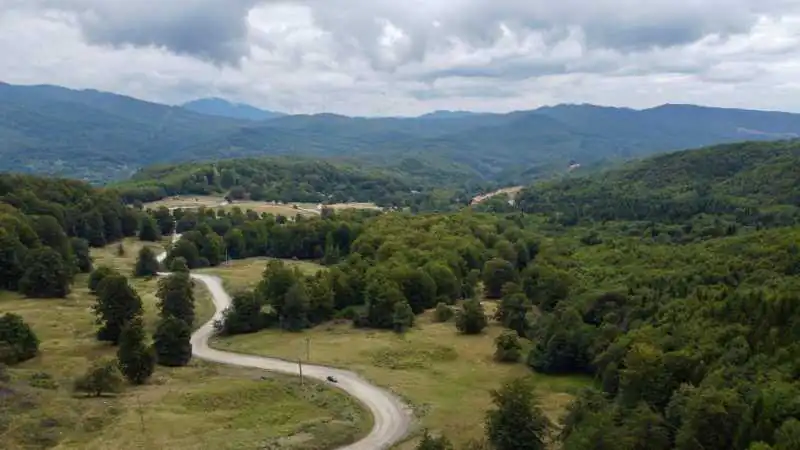 drumul lovistei