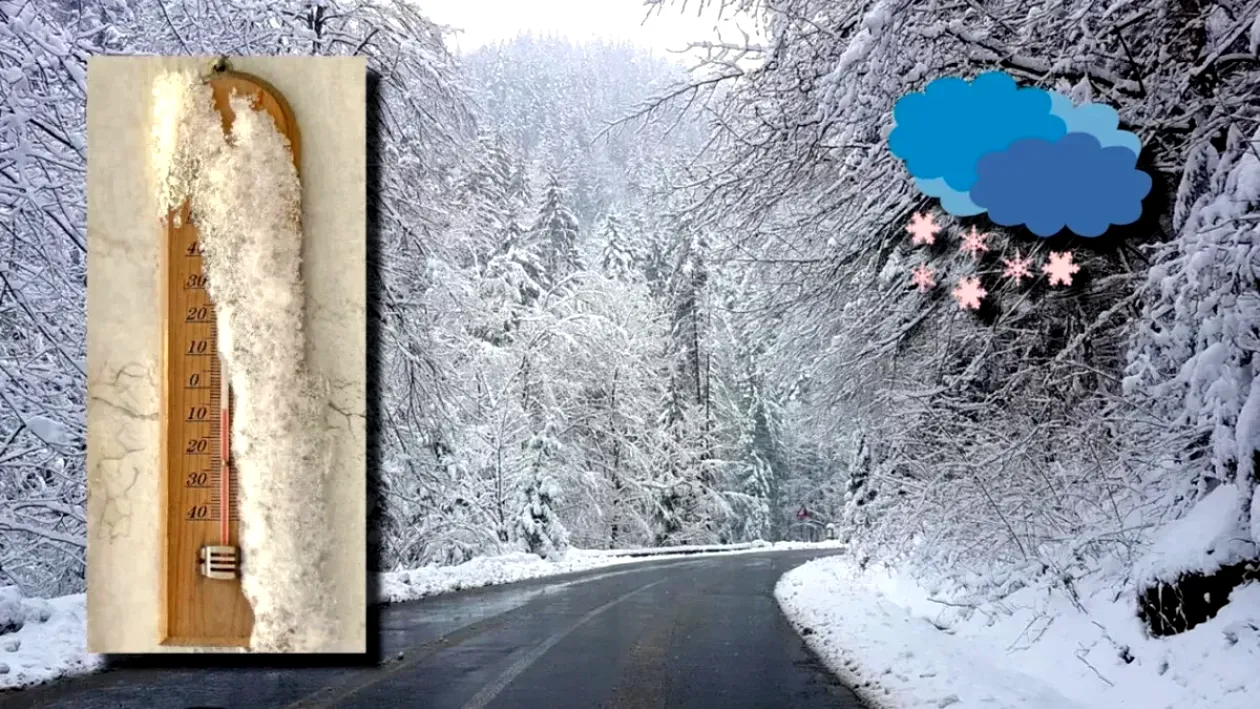 lapovita si ninsori