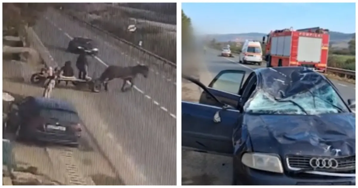 accident caruta atelaj audi