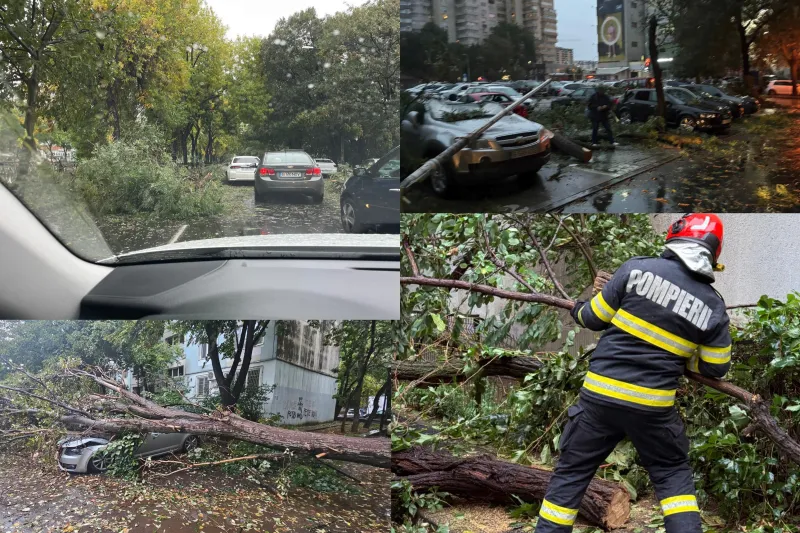 copaci cazuti bucuresti