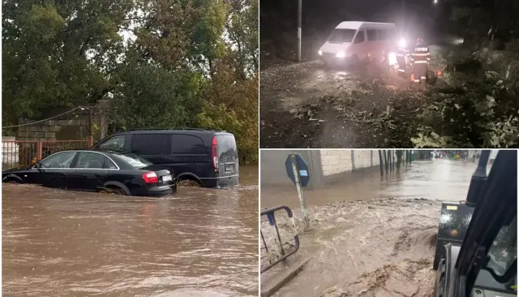 inundatii 2222