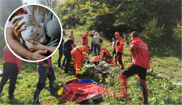 nastere padure smurd