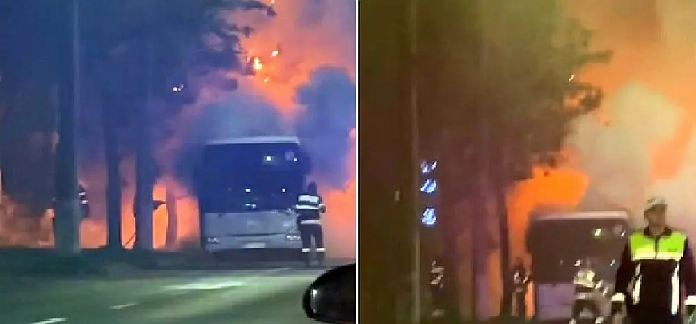 583264149 1255307243293876 5680168636853599531 n