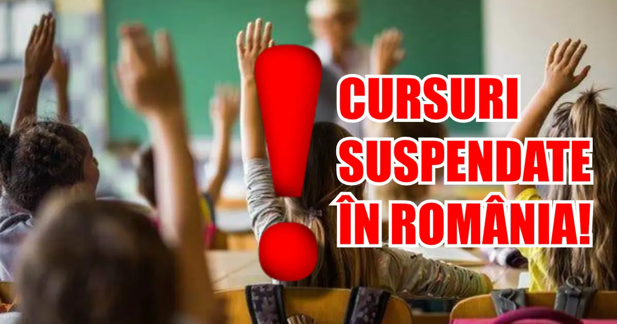 CURSURI SUSPENDATE