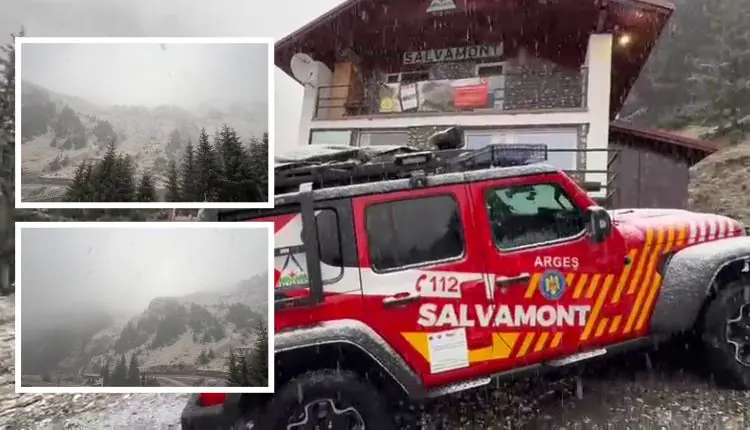 salvamont ninsoare 2025