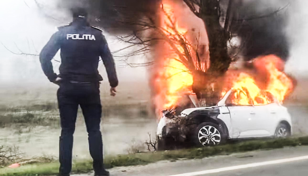 597868511 2669515993409059 4773281362131433837 n