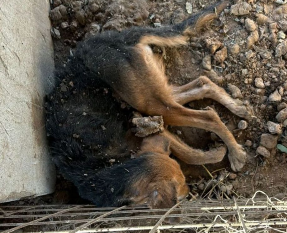 Screenshot 2025 12 08 212333