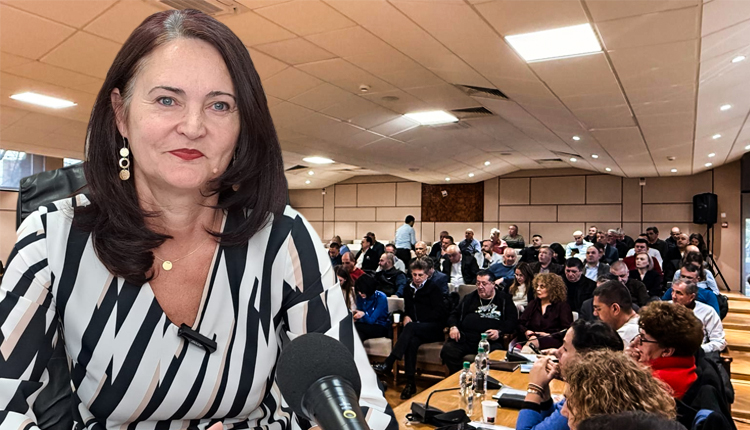 aida enache colegiu prefectural