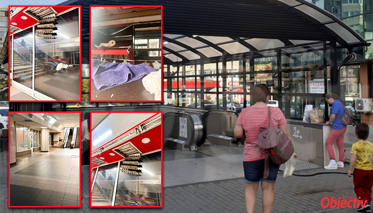 magnolia reabilitare