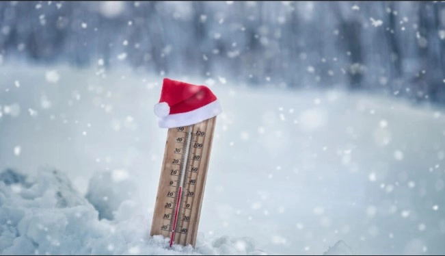 media 173406838662009300.webp