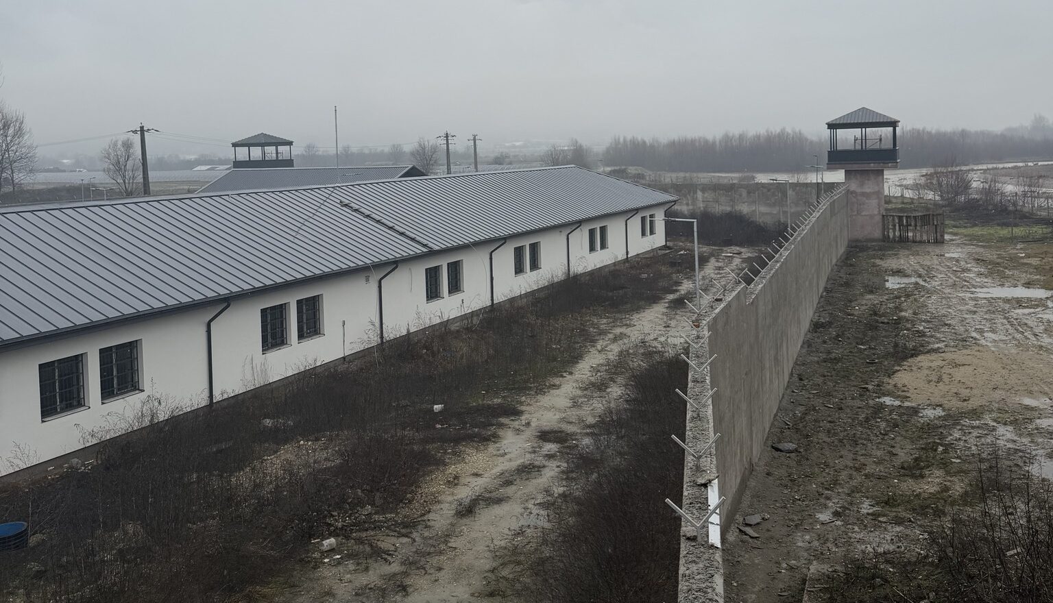 PUSCARIE e1769764536876