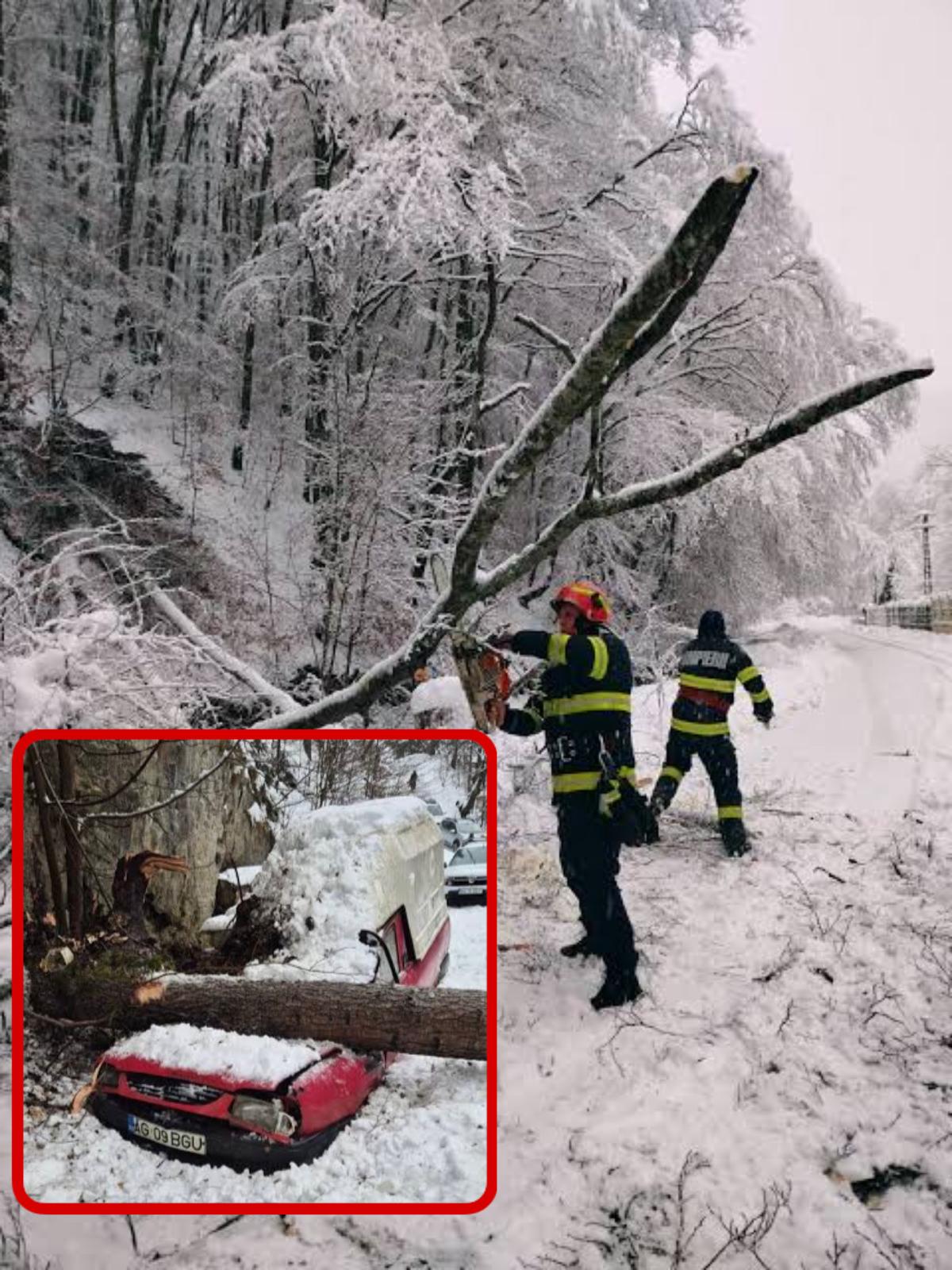 WhatsApp Image 2026 01 06 at 12.06.03