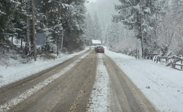 mmid6f93d56af5b00956d1