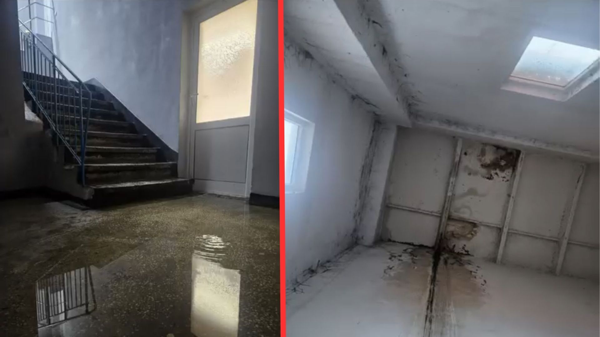 x 2026 02 06T190710.220