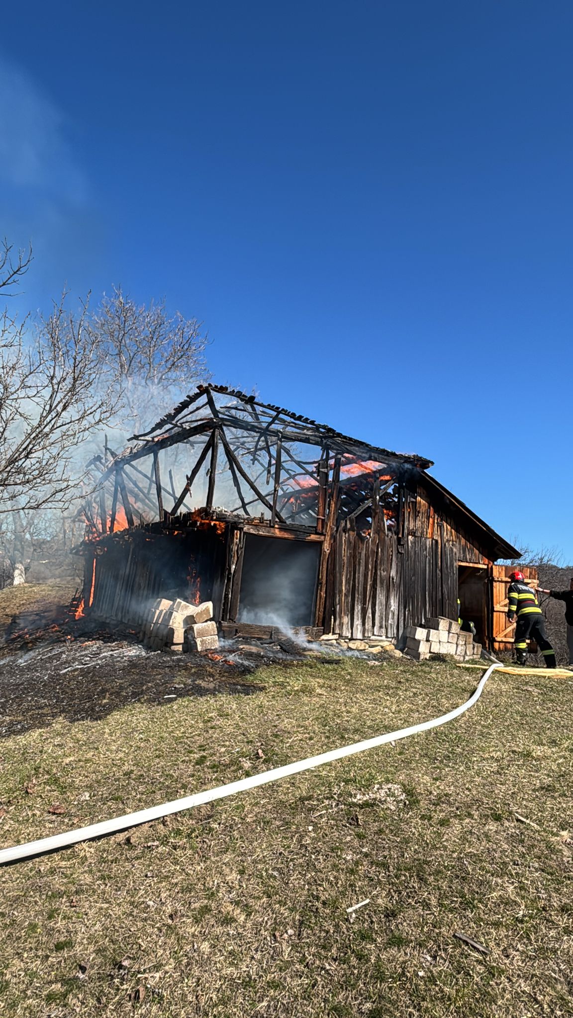 WhatsApp Image 2026 03 10 at 12.15.55