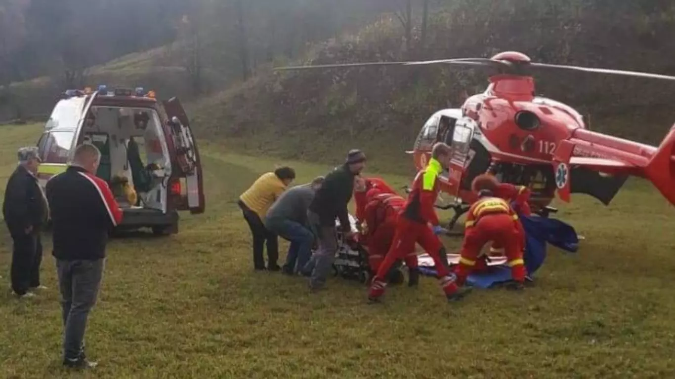 Tragedie de nedescris! Un bărbat de 45 de ani a murit strivit de un copac. Detalii groaznice de la fața locului!