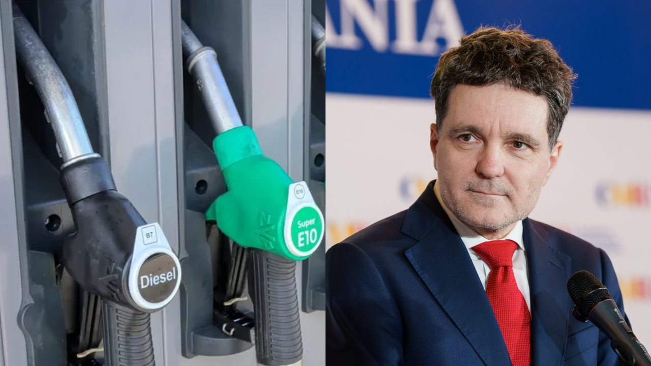 nicusor dan motorina